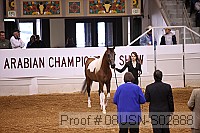 08usn-s02888 proof