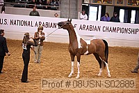 08usn-s02889 proof