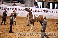 08usn-s02890 proof