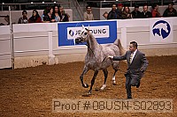 08usn-s02893 proof
