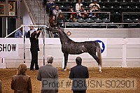 08usn-s02901 proof