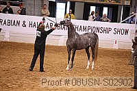 08usn-s02902 proof