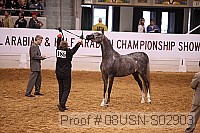 08usn-s02903 proof