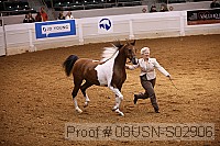 08usn-s02906 proof