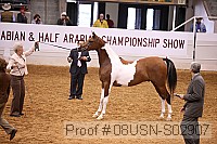 08usn-s02907 proof