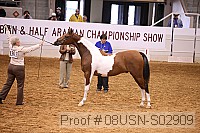 08usn-s02909 proof