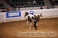 08usn-s02910 proof