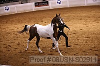08usn-s02911 proof