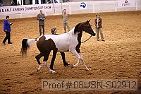 08usn-s02912 proof