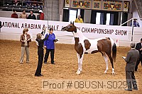 08usn-s02916 proof