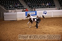 08usn-s02919 proof