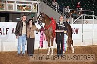 08usn-s02936 proof
