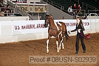 08usn-s02939 proof