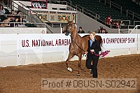 08usn-s02942 proof