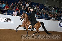 08usn-08492 proof