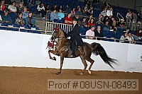 08usn-08493 proof