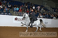 08usn-08494 proof