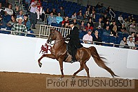 08usn-08501 proof