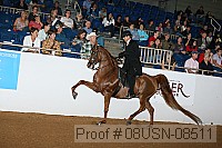 08usn-08511 proof