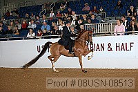08usn-08513 proof