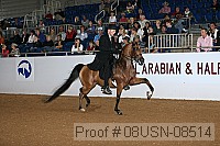 08usn-08514 proof