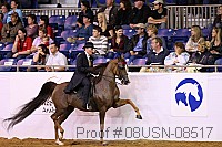 08usn-08517 proof