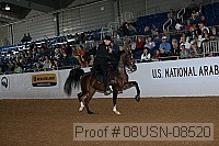 08usn-08520 proof