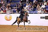 08usn-08521 proof