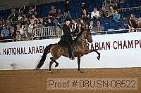 08usn-08522 proof