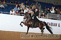 08usn-08536 proof