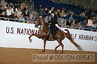 08usn-08543 proof