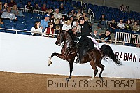 08usn-08547 proof