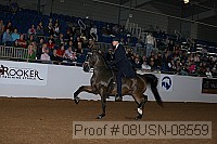 08usn-08559 proof