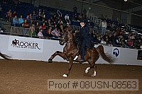08usn-08563 proof