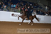 08usn-08571 proof
