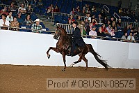 08usn-08575 proof
