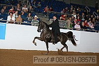 08usn-08576 proof