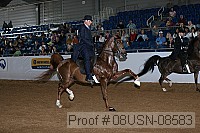 08usn-08583 proof