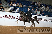 08usn-08585 proof