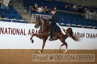 08usn-08589 proof