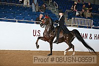 08usn-08591 proof