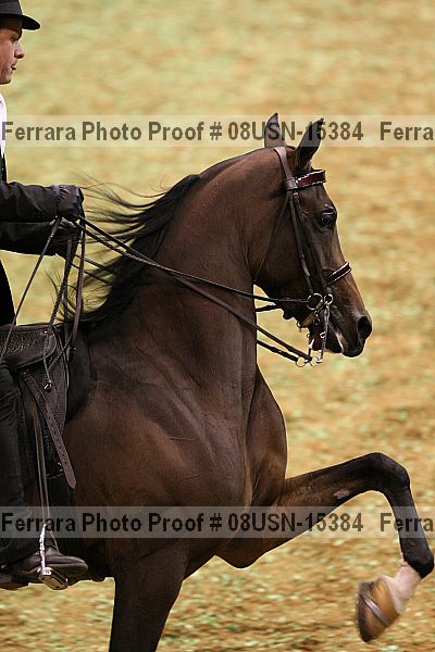 Proof 08usn-15384