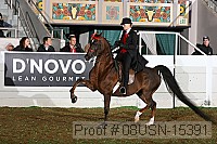 08usn-15391 proof