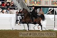 08usn-15392 proof