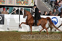 08usn-15393 proof