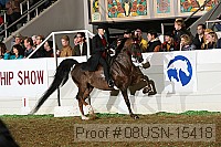 08usn-15418 proof