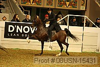 08usn-15431 proof