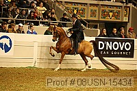 08usn-15434 proof