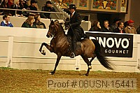 08usn-15441 proof