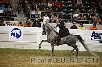 08usn-s14314 proof